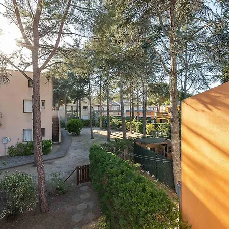 Apartament In Nearby Local Market